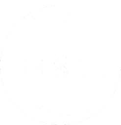 MSDV Logistics Logo